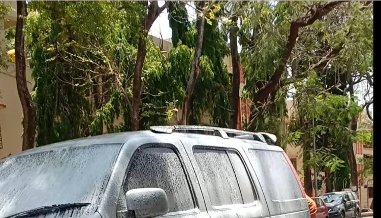 Foam wash in progress on an SUV under tree cover at Pyramid Washing Center